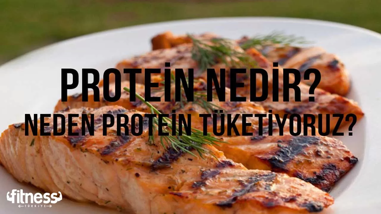 protein-nedir